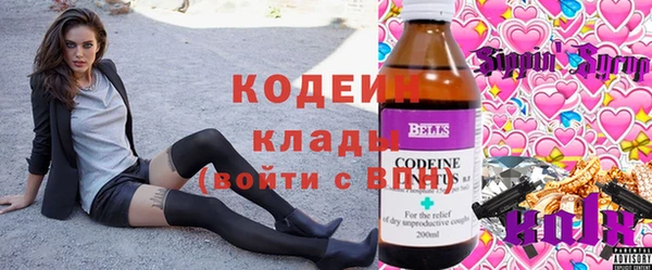 соль ск Вяземский