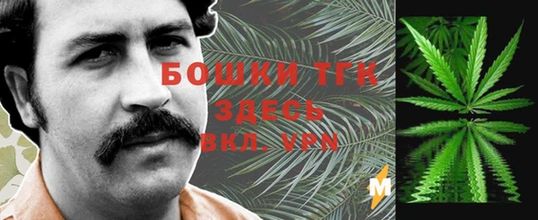 соль ск Вяземский