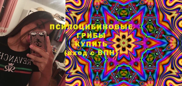 ешки Вязники